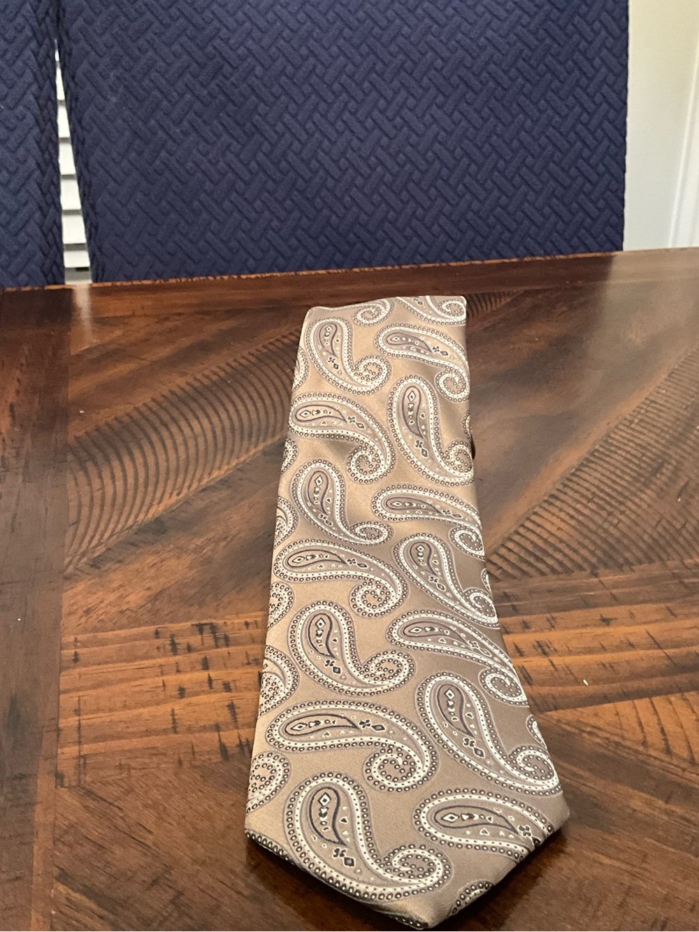 Saddlebred Taupe and Silver Paisley Tie